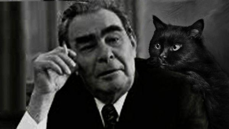 Con mèo do Đức Đạt Lai Lạt Ma tặng đã nhiều lần cứu mạng nhà lãnh đạo Brezhnev